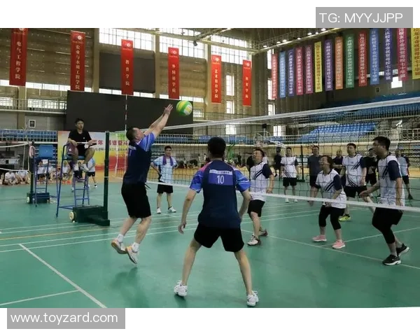 深圳排球队的奋斗与荣耀：一段不平凡的排球纪实之旅